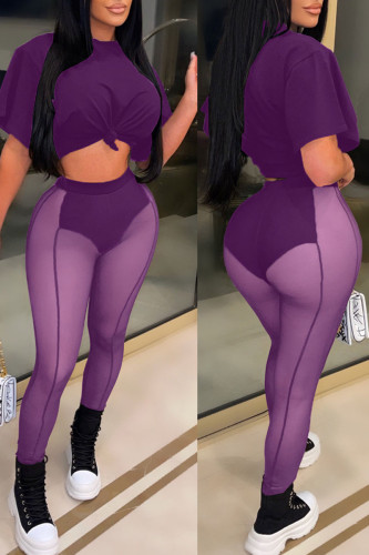 Purple Sexy Solid Split Joint See-through O Neck Short Sleeve Two Pieces