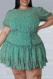 Grön Casual Print Patchwork O Neck Cake Skirt Plus Size Klänningar
