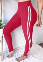 Red Solid Pencil Pants Midweight Pants